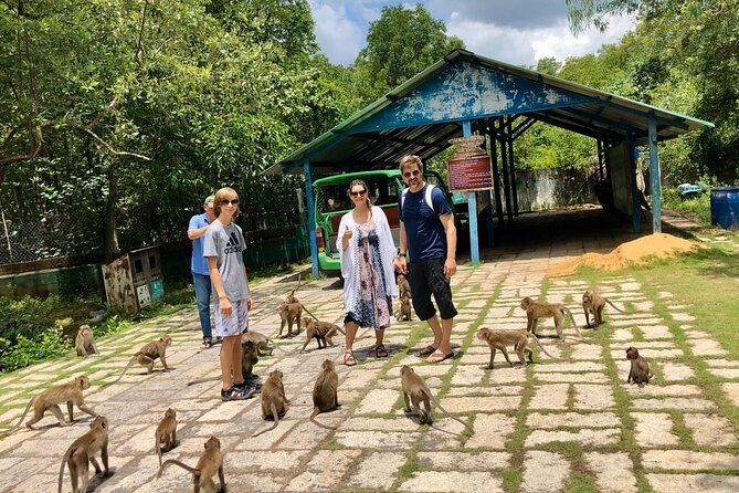 1-Day Can Gio Island-Mangrove Biosphere Reserve-Trekking - Tang Bong Tower and the suspension bridge