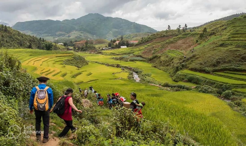 1-Day Sapa Long Trek - Rice Field Terrace, Ethnic Culture - Why this Sapa trek feels more personal