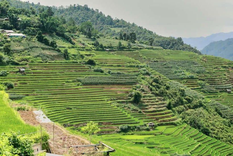1-Day Sapa Long Trek - Rice Field Terrace, Ethnic Culture - Ta Van at about 3:00 PM