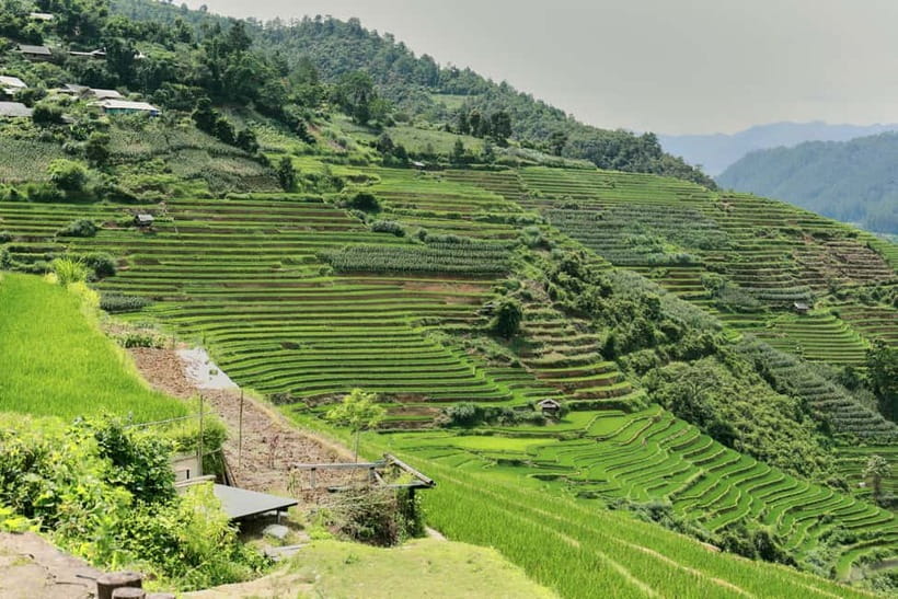 1-Day Sapa Long Trek - Rice Field Terrace, Ethnic Culture - How hard is the walking?