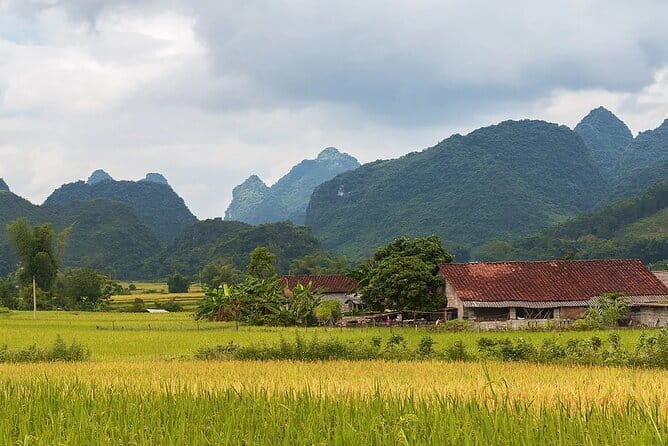 12 Days in Vietnam | Cultural Exploration with Beach Escapes - Day 10: Ho Chi Minh City and the Cu Chi Tunnels