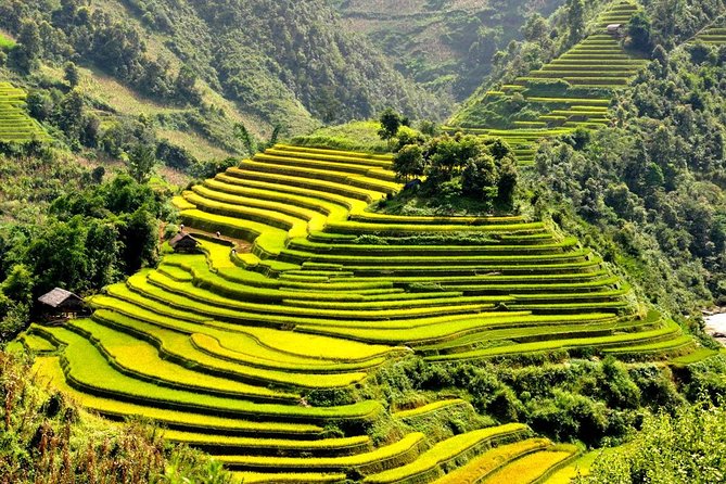 15-Day Majestic Vietnam FULL Package - 68% OFF + Bonuses - Days 6 to 8: Hoi An, My Son, and a free day