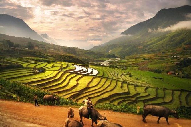 15-Day Majestic Vietnam FULL Package - 68% OFF + Bonuses - Days 11 to 13: Ho Chi Minh City, the Mekong, and Cu Chi