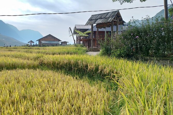 2-Day Sapa Guided Tour Slipping in Homestay From Hanoi - Why this Sapa trip works better than a town-only visit