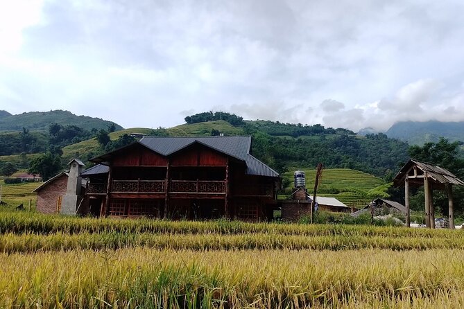 2-Day Sapa Guided Tour Slipping in Homestay From Hanoi - Sin Chai, Y Linh Ho, and the first village night