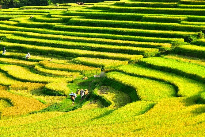 2 Days Pu Luong Offbeat Trekking Best for Mountain Lovers - Who should book this two-day escape?