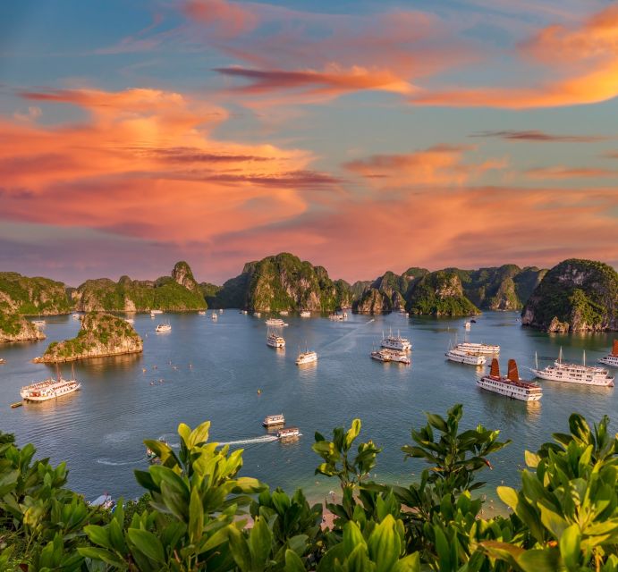 3-Day 2-Night Lan Ha Bay 5-Star Cruise - Key points to know before booking
