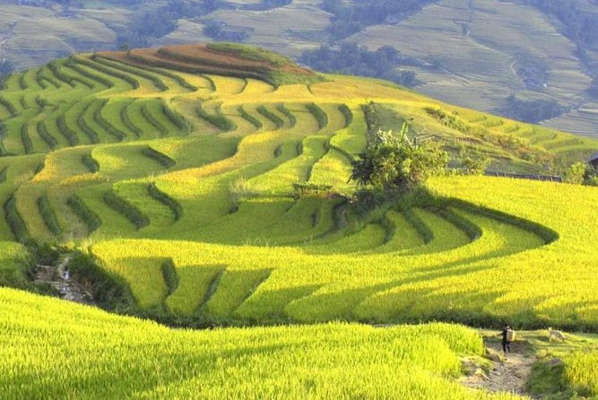3-Night Sapa Trek and Homestay with Round Trip Transfer from Hanoi - Hanoi to Lao Cai by overnight train