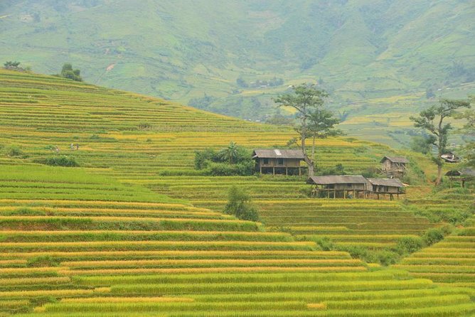 3-Night Sapa Trek and Homestay with Round Trip Transfer from Hanoi - Is $218 good value for this Sapa trip?
