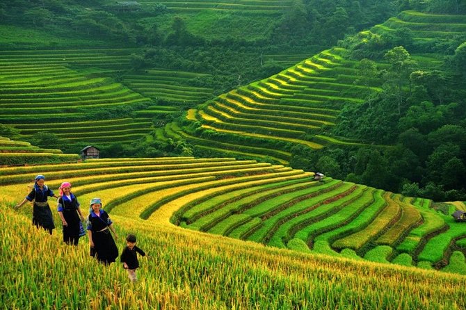 3-Night Sapa Trek and Homestay with Round Trip Transfer from Hanoi - Breakfast, bamboo forest, and Giang Ta Chai