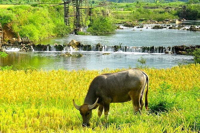 5, 6, 7 day Vietnam Itinerary | Charming | 2026 Northern Packages - Why this route works for northern Vietnam
