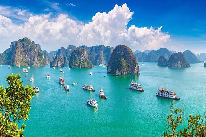7-Day Vietnam Itinerary | Tranquil | Best 2026 North and South - Communication and day-to-day support