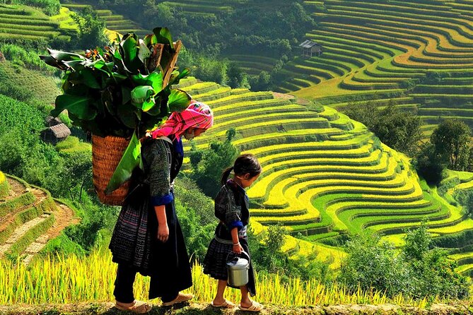 7 Days Vietnam Travel (Hanoi- Ninh Binh - Sapa - Ha Long) - Day 7: A private airport transfer and an uncomplicated finish