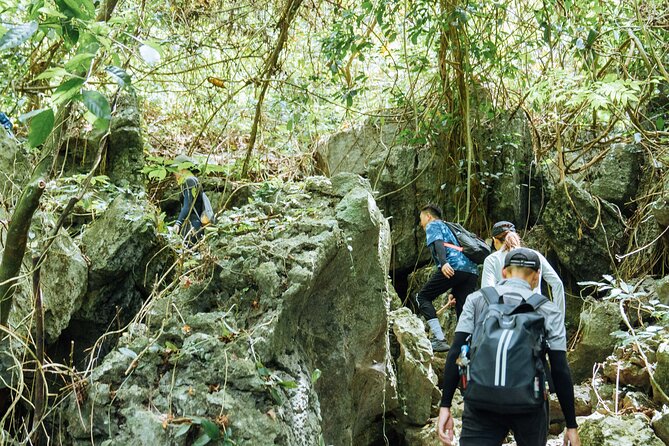 Abandoned Valley Adventure - E Cave & Golden Cave - 1D - The 2.5-kilometer walk back