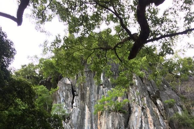 Abandoned Valley - Dark Cave exit, E Cave, Golden Cave- 2D1N - Day one: from Phong Nha to the back door of Dark Cave