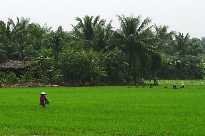 Adventure Cu Chi Tunnels and Mekong Delta Tour From HCM - Practical details before you go