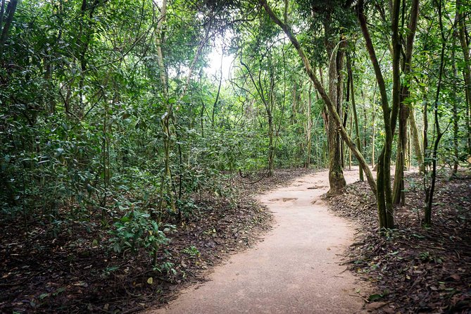 Afternoon Cu Chi Tunnels - Small Group Half-Day Tour - Ben Dinh: reading an underground village