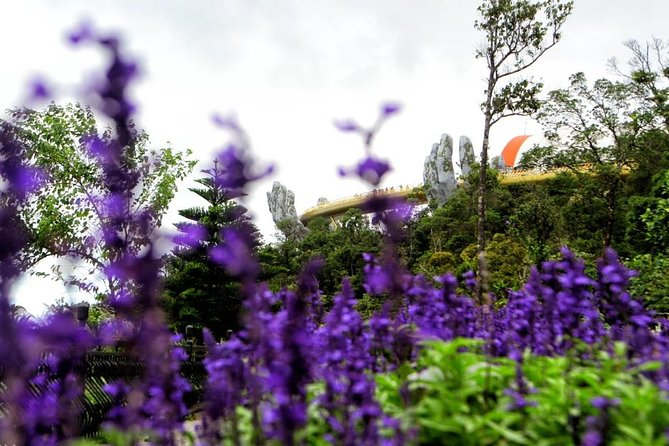 Ba Na Hills Private Tour - Why the private format can be worth $150