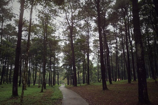 Ba Vi National Park Private Tour: Sightseeings & Jungle Hikking - The climb to Thuong Temple