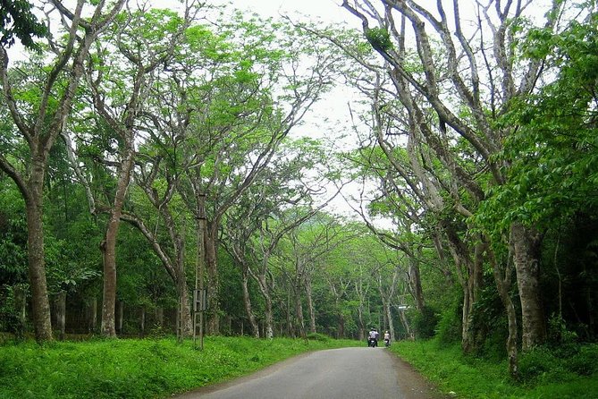 Ba Vi National Park Private Tour: Sightseeings & Jungle Hikking - Tan Vien Peak and the mountain fog