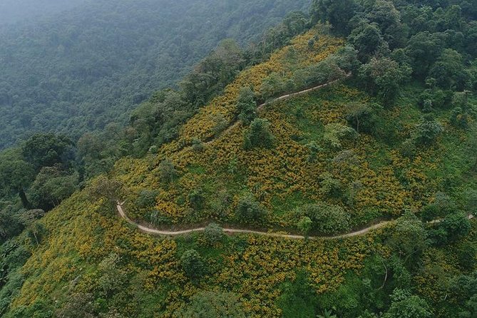 Ba Vi National Park Private Tour: Sightseeings & Jungle Hikking - French prison ruins beneath the trees