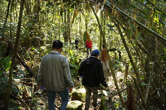 Bach Ma National Park trekking daily tour from Da Nang, Hoi An - Ngu Ho and the Five Lakes trail