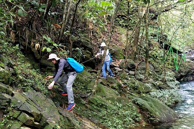 Bach Ma National Park trekking daily tour from Da Nang, Hoi An - Picnic lunch beside the forest