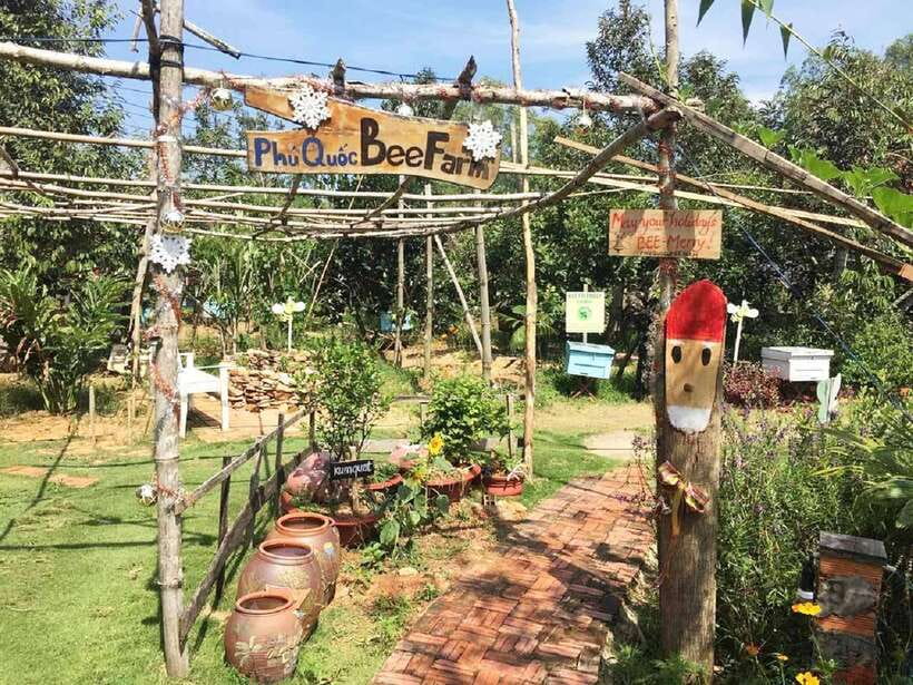 Best Seller Northern Phu Quoc & Kayak Aventure with lunch - Key points to know before booking