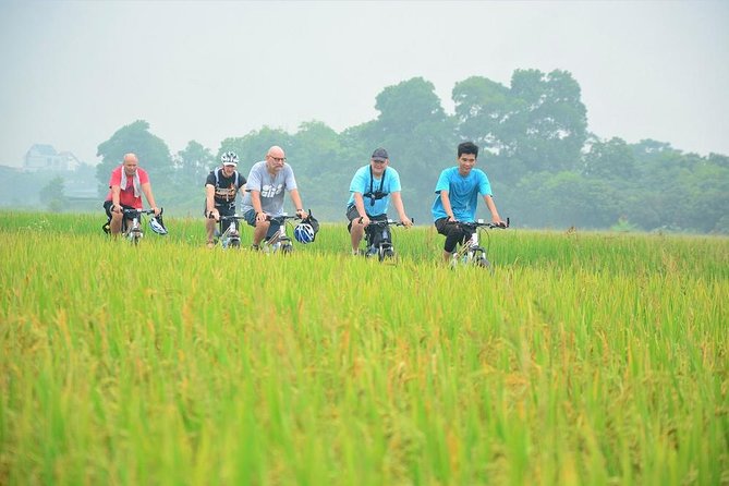 Bicycle Tours Hanoi: Full Day Bicycle Tour Hanoi Countryside - Meeting a Bonsai-Growing Family in Lai Da