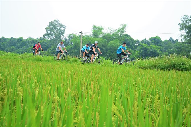 Bicycle Tours Hanoi: Full Day Bicycle Tour Hanoi Countryside - A Home-Cooked Lunch With a Local Family