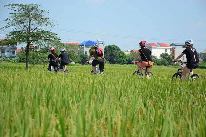Bicycle Tours Hanoi: Full Day Bicycle Tours City & Countryside - From the Opera House to Hanoi’s back roads
