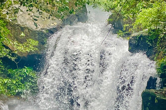 Botanic Garden - Paradise Cave - Zipline - Mudbath at Dark Cave - A morning in Phong Nha’s forest