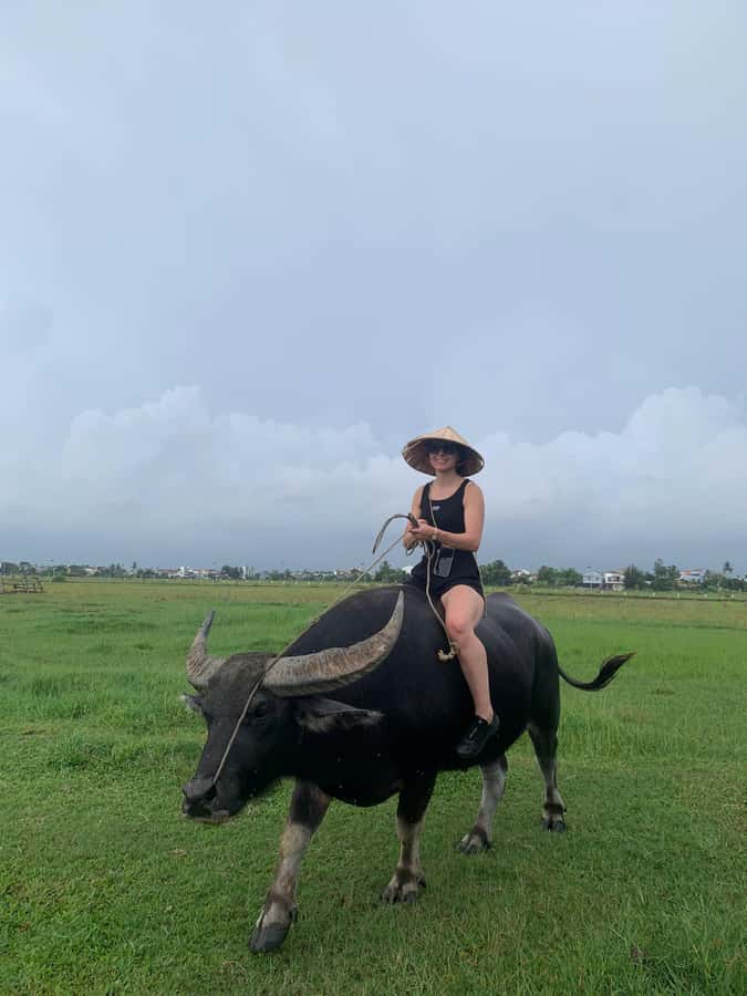 BUFFALO RIDING -BASKET BOAT & BIKE TOUR-HOI AN - Who should book this Hoi An outing