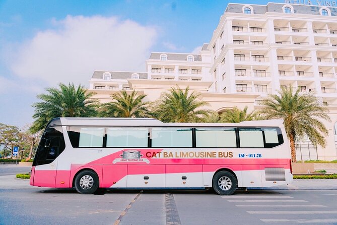 Bus Ha Noi to Cat Ba island - Why this transfer makes sense for Cat Ba