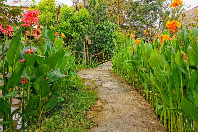 Cai Be Village - One-Day Mekong Delta Adventure - Fruit Gardens, Honey Kumquat Tea, and Folk Music