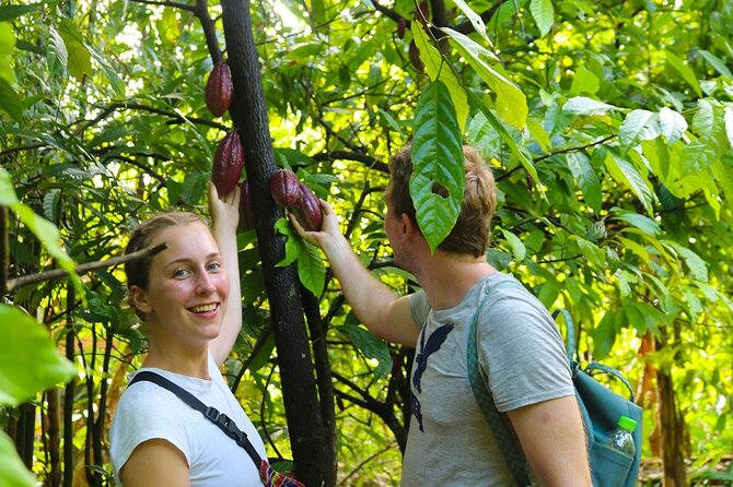 Cai Rang floating market, Cacao & hidden small canal - Muoi Cuong Cacao Farm and the chocolate tasting