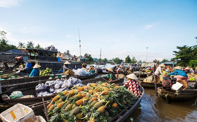 Cai Rang Floating Market & Mekong Delta Private 1-Day Tour - Cai Rang Floating Market, a working river market