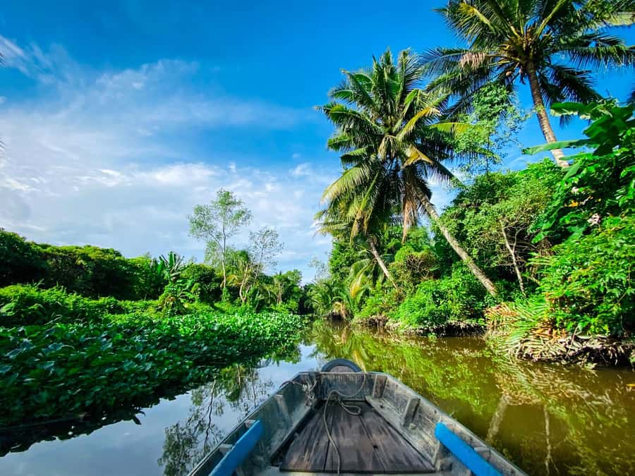 Can Tho: A Real Mekong Tour, Floating Market, Cacao & Life's - The 9-Cua rice noodle house