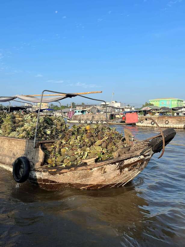 Can Tho: Cai Rang Floating Market and Canals - Key points to know before you book