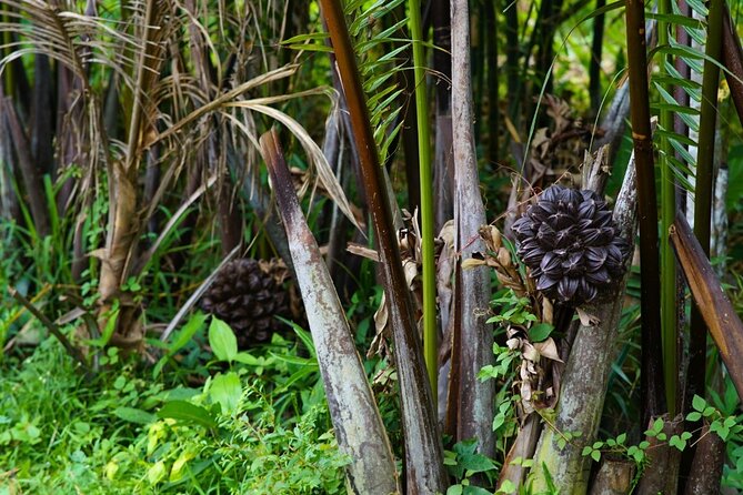 Can Tho Floating Market and Fruit Garden Tour - Cruising through the small canal