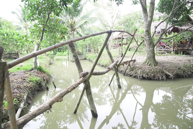 Can Tho Floating Market and Fruit Garden Tour - Practical details for the 6:00 am start