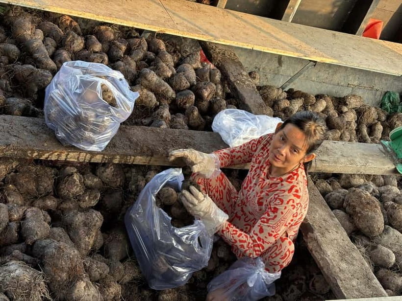 Can Tho: Floating Market, Cacao & Canals with French Guide - The organic cacao farm and Mr. Cacao