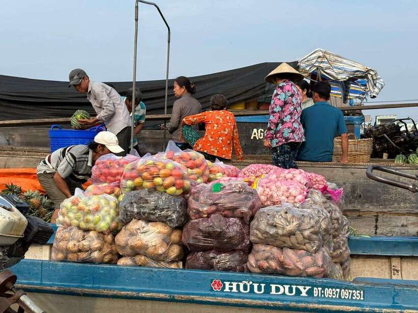 Can Tho: Floating Market, Canal, Cacao Farm & Mekong' Life - Water coconut canals and the quieter side of the delta