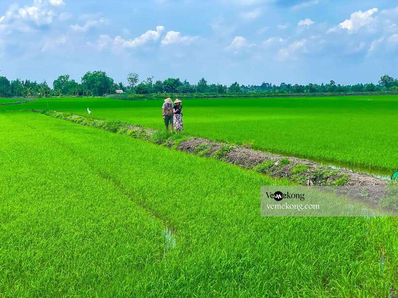 Can Tho: Lung Ngoc Hoang Nature Reserve & Forest Tour - Who should book this Can Tho nature tour?
