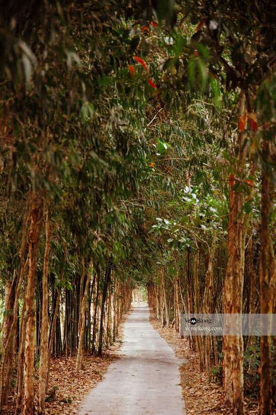 Can Tho: Lung Ngoc Hoang Nature Reserve & Forest Tour - Cruising the forest canals by boat