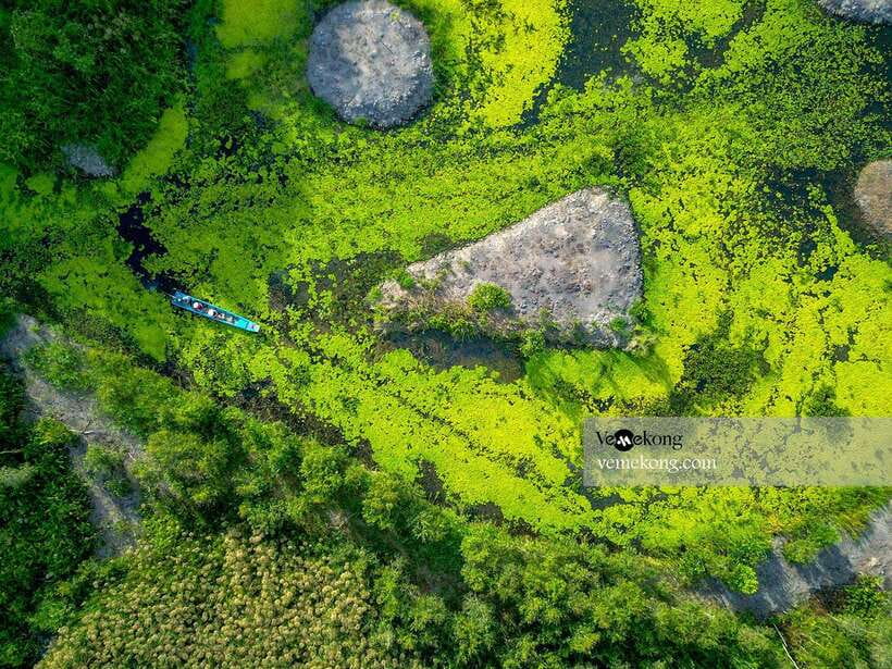 Can Tho: Lung Ngoc Hoang Nature Reserve & Forest Tour - The 1.2-kilometer walk on pancake paths