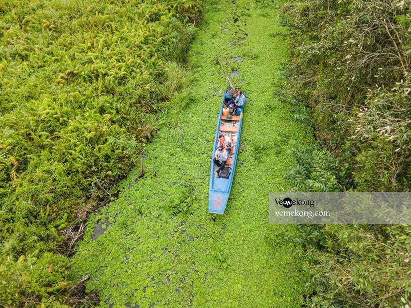 Can Tho: Lung Ngoc Hoang Nature Reserve & Forest Tour - The observation tower and seasonal rice fields