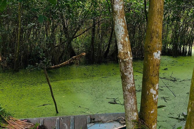 Can Tho: Lung Ngoc Hoang Nature Reserve & Hidden Forests - Birdwatching among water hyacinth and forest