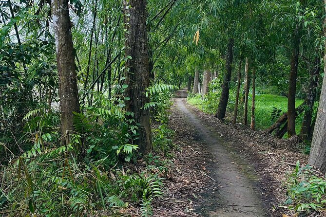 Can Tho: Lung Ngoc Hoang Nature Reserve & Hidden Forests - What the guides add to the experience