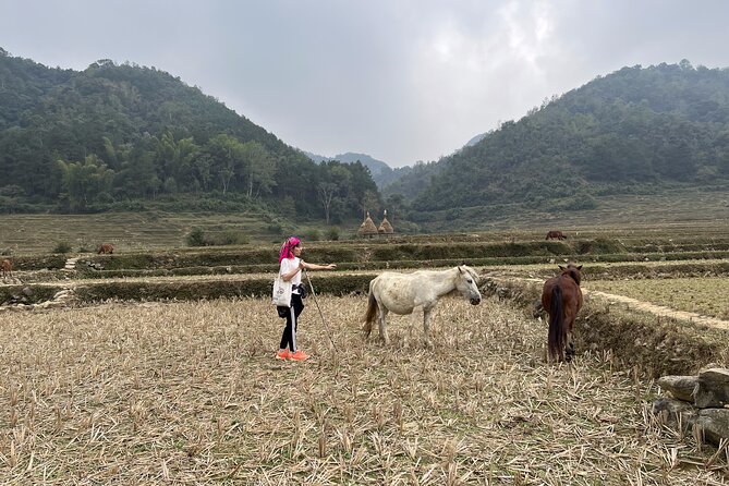Cao Bang Easy Trekking Tours 2Days/1Night Ban Gioc Waterfall ET1 - Breakfast and the first taste of Cao Bang